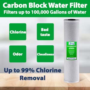 Water goes through Carbon Block filter