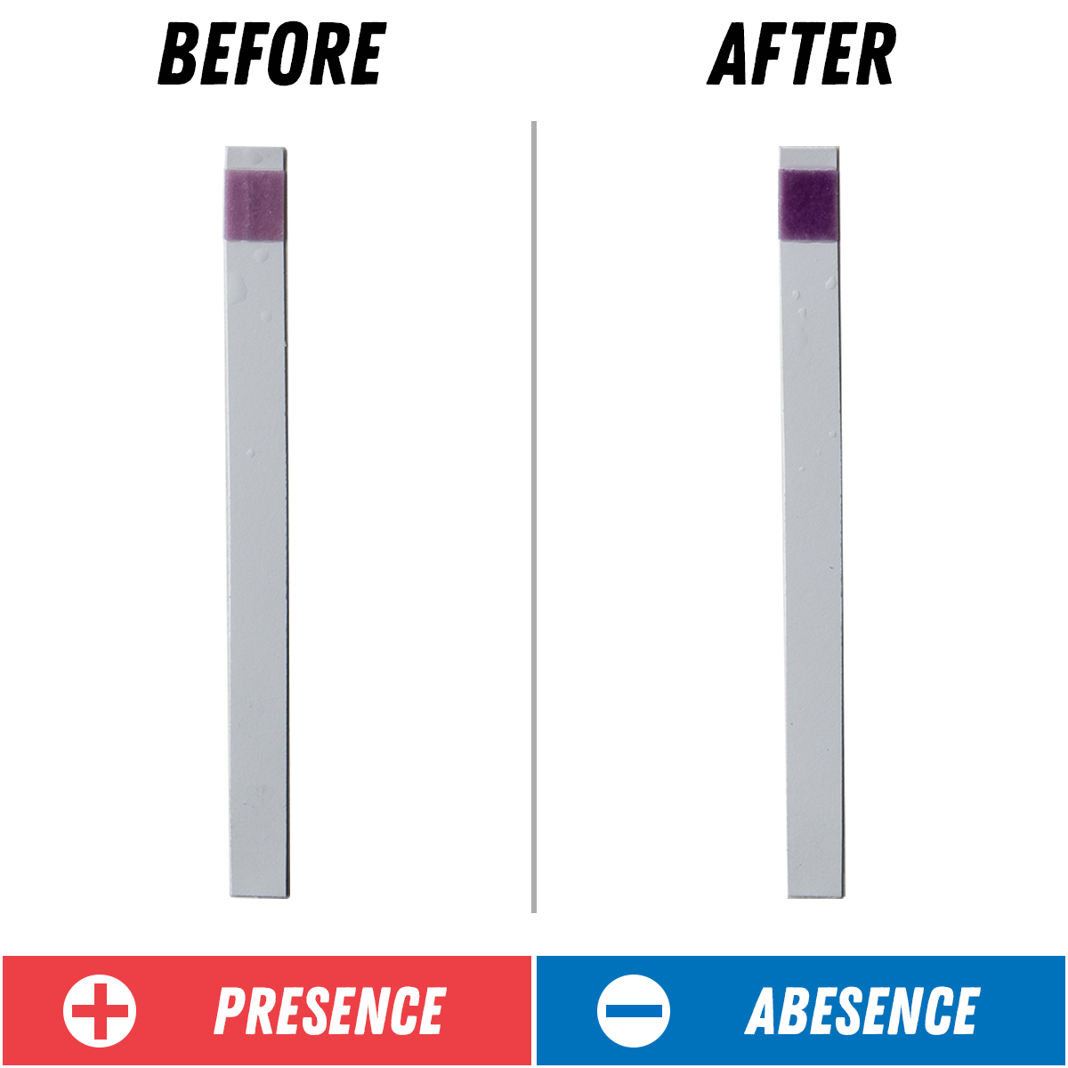 Chlorine & Chloramine results 