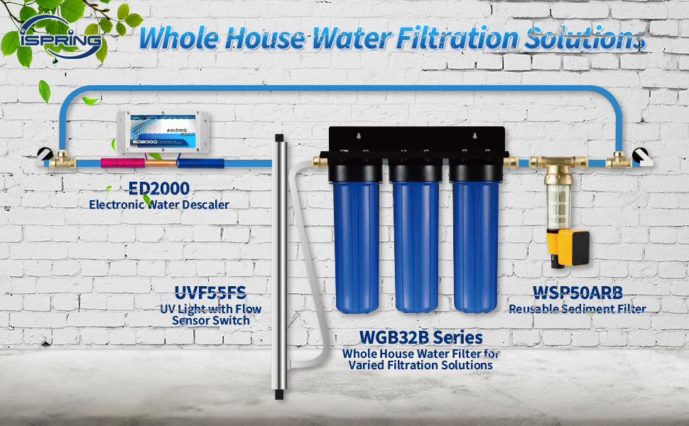 Whole House water filtration system