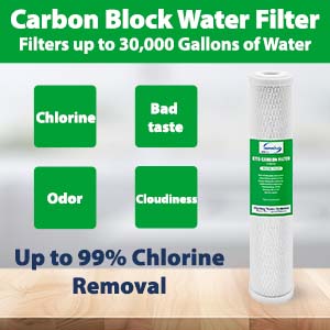 Water goes through Carbon Block filter